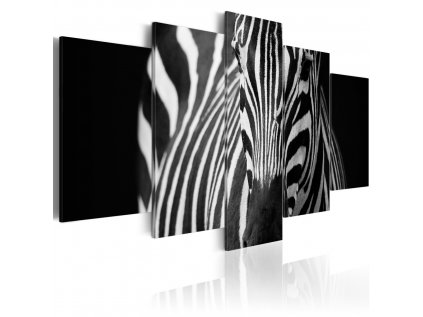 Obraz vícedílný Zebra SKLAD