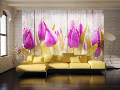 Tapeta fialové tulipány na dřevě
