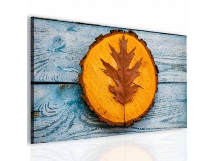 Obraz krása podzimu