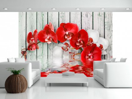 Tapeta Červená orchidej na dřevě SKLAD