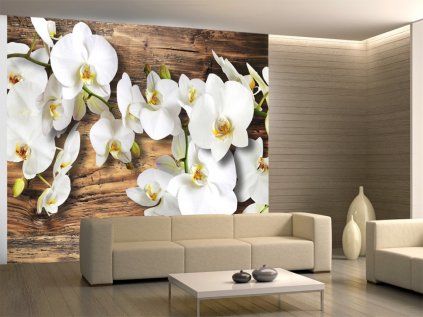 Tapeta bílá orchidej na dřevě SKLAD