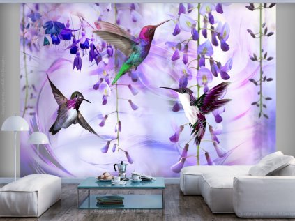 Tapeta kolibříci - fialová SKLAD
