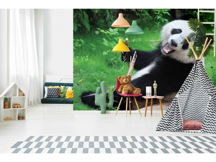 panda shutterstock 653708296 interiér