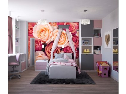 růže shutterstock 497336377 interiér