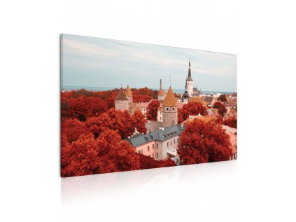 8080800010 Obraz město Tallinn 3D