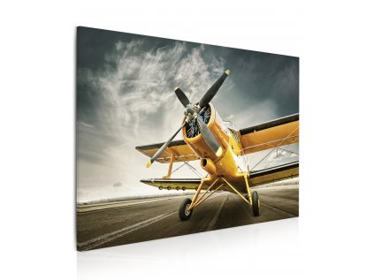8080800013 Obraz žluté letadlo 3D