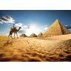 Tapeta Egypt pyramidy (Vel. (šířka x výška) 504 x 310 cm)