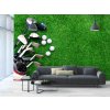 Tapeta Golfové vybavení interior