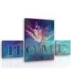 Obraz na zeď - HOME