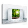 Obraz na zeď - výhled do lesa
