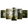 Pětidílné obrazy - lesní spánek