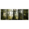 Pětidílné obrazy na stěnu - ráno v lese