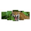 Vícedílný obraz - Jaguár