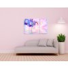 Vícedílný obraz - Modrá orchidej