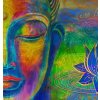 Abstraktní obraz barevný Buddha