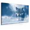 Obraz vlk v zimě