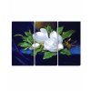 70707004 Obří magnólie na sametově modré tkanině – Martin Johnson Heade 2D
