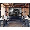 ČB Gorila shutterstock 607927046 interier