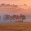 Východ slunce na louce shutterstock 125108972 zoom