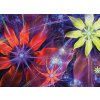 Abstrakt uv květy shutterstock 264193619