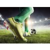 fotbal shutterstock 652647784