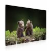 8080800026 Obraz medvíďata v lese 3D
