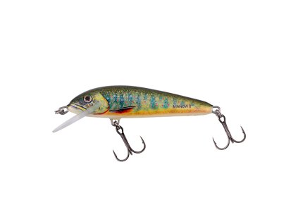 Vobler Salmo Minnow 5 Sinking
