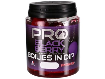 Dipované boilies Starbaits PRO Blackberry 150g (Priemer 20mm)