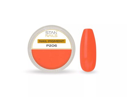 Nail Art zdobenie - pigment - P206