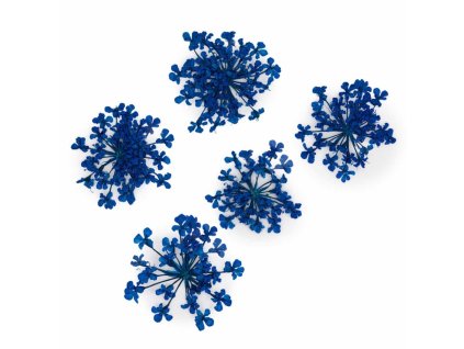 Sušené květy na nehty - Royal Blue, 5 ks