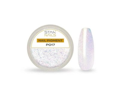 Nail Art zdobení - pigment - P017