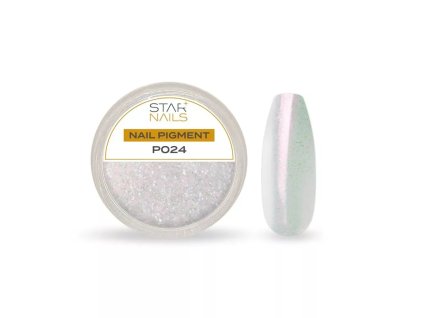 Nail Art zdobenie - pigment - P024