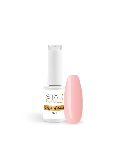 vyr 10621 VN 005 Begonia