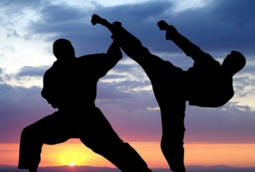 Aké bojové umenie si vybrať?