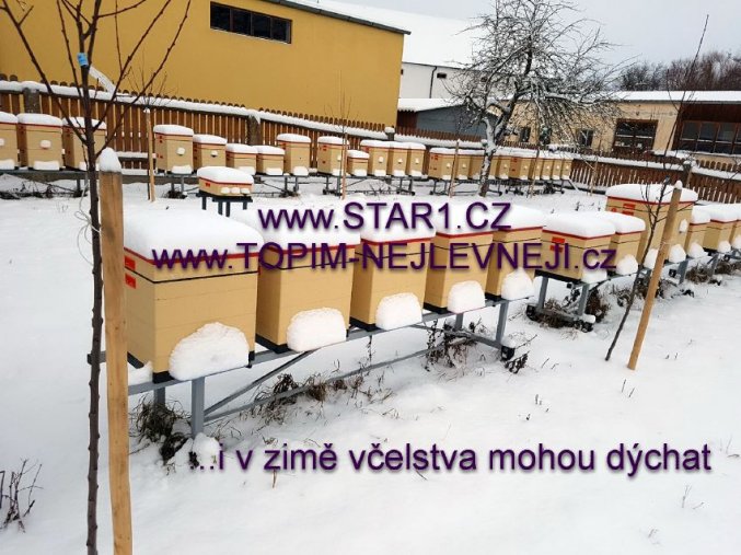 úly v zimě pod sněhem www.STAR1.cz