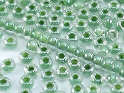 Seed Beads Preciosa No.38657- Olivine Line Terra - 10/0 12g