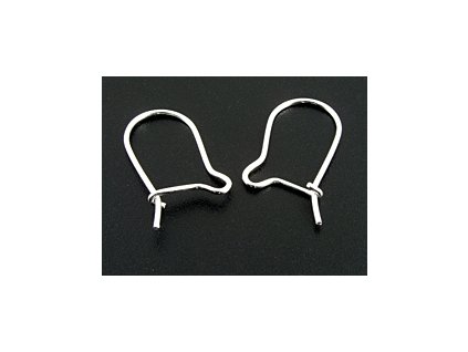 Náušnice Kontinental N3 Stříbro-Ag 925/1000 16x0,8mm