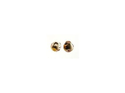 Beads Firepolished Crystal Capri Gold 6mm