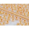 Seed Beads Preciosa No.38683- Orange Line Terra - 10/0 12g