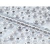 Seed Beads Preciosa No.38249- Silver Line Light Gray Terra- 10/0 12g