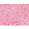 Seed Beads Charlotte - Alabaster Pink - 15/0 5g