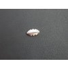 Bead A48 Silver Ag 925/1000 14x3,5mm 1piece