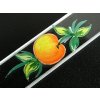 GLASS NAIL FILE APPLE