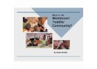 What Is The Montessori Toddler Community?