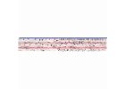 Timeline American History (Large Display)