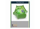 Plant Cell