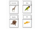 Five Classes Vertebrates Sorting Cards