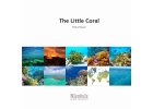 The Little Coral