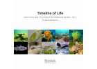 Timeline Of Life