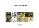 The Little Dragonfly